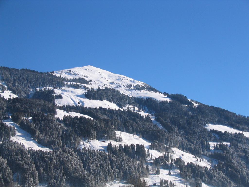 Апартаменти Kitz Mountain Living Аурах-бай-Кіцбюель Екстер'єр фото